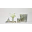 Lucent Tissue Box Cover
