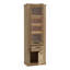 Bayleigh Display Cabinet