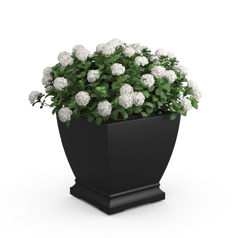 Pot à fleurs Myung, Noir, H 20 po x l 20 po x P 20 po, 1