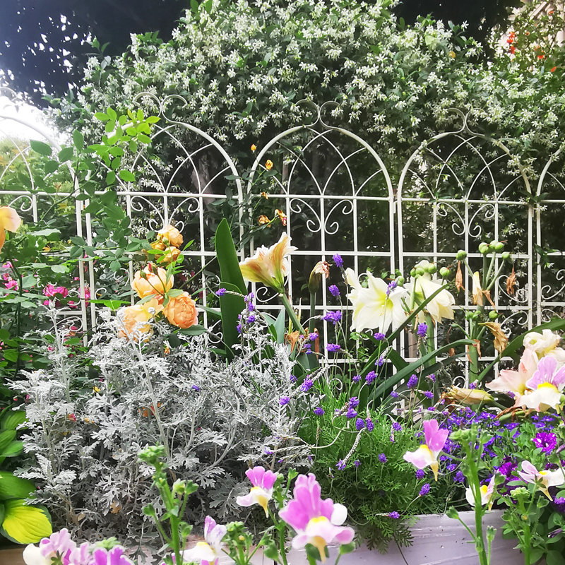 Ensemble de 4 treillis de jardin en métal 71 po x 19,7 po antirouille pour plantes grimpantes pour l'extérieur