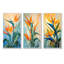 Profil de paradis fleur-1154031715-1154031720
