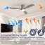 52 - Ventilateur de plafond-97395351-97672901