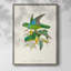 Lime & CeruleanParrots II, reproduction encadrée - bois massif-1044045564