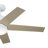 Brahm 48'' Ceiling Fan with LED Lights