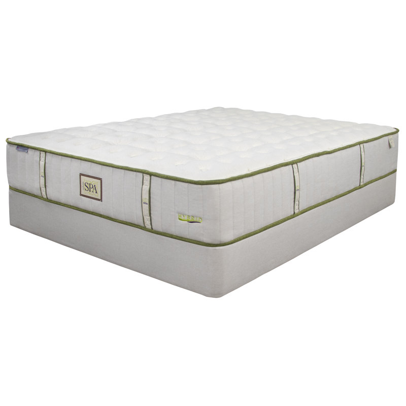 Nature's Spa Hybrid Horizon Plush, Split California King