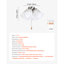 Ensemble de lumière de ventilateur de plafond, ensemble de lumière de ventilateur à quatre lumières 3000K 750lm avec chaîne de traction, luminaire de remplacement pour salon, chambre à coucher, décoration intérieure, abat-jour en verre blanc nuage nickel brossé, forme florale