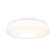 Flush Ceiling Light