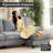 112" U-Shaped Sectional Sofa with Ottoman & 4 Seats-1009321371