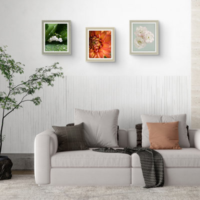 Modern Picture Frames - Display Frames for Wall or Tabletop|Home & Office Decor