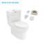 Toilette allongée monopièce à jet double avec siphon à jet double 1,1 / 1,6 GPF
