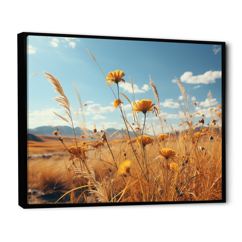 Coucher de soleil, fleurs d'été, prés, Cadre flottant noir, H 34 po x l 44 po x P 1,5 po