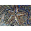 Tapis unique bleu / orange 9 pi 1 po x 11 pi 10 po Kellyanna par Arshs Fine Rugs