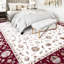 Oriental Area Rug-1658177836