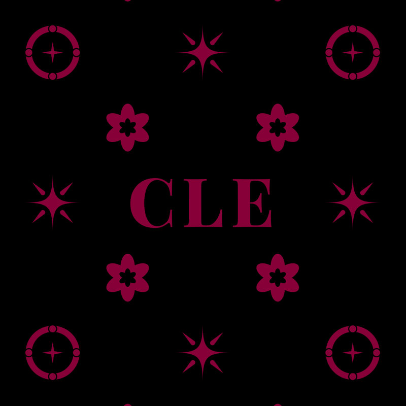 Oreiller Cleveland Basketball , H 21,5 po x l 31 po, Noir, rouge, rouge, basketball, Cleveland
