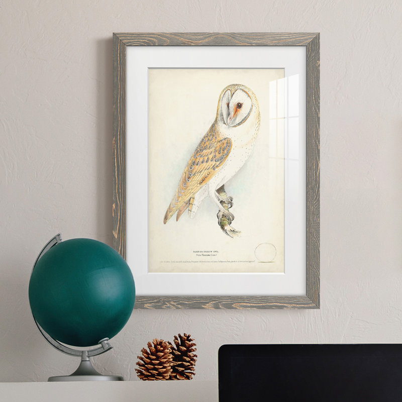 Barn Owl Premium encadré mat - prêt à accrocher, Cadre gris, H 20 po x l 17 po x P 1 po