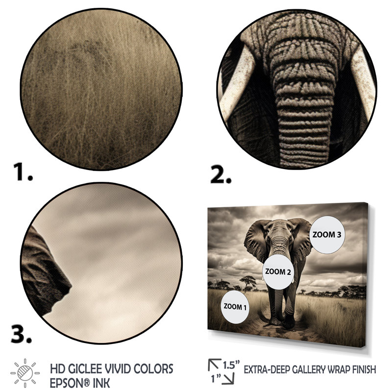 «Afrique Elephants Grace», reproduction sur toile, Cadre photo blanc, H 24 po x l 32 po x P 1 po