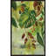 «Tropical Greenery II» par Silvia Vassileva - Peinture-65864953-65864954