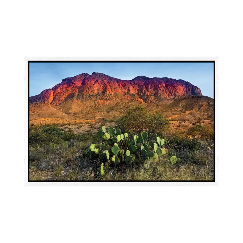 Chisos Mountains With Prickly Pear Cactus IV by Susanne Kremer - Gallery-Wrapped Canvas Giclée on Canvas, White Framed