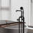 Freestanding Tub Filler with Diverter-73044563