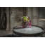 Classics Decorative Tray-22555906