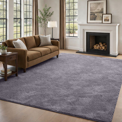 Soft Touch Fluffy Area Rug for Living Room & Bedroom