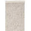 Tapis beige Aaditya Ikat 801-15356383