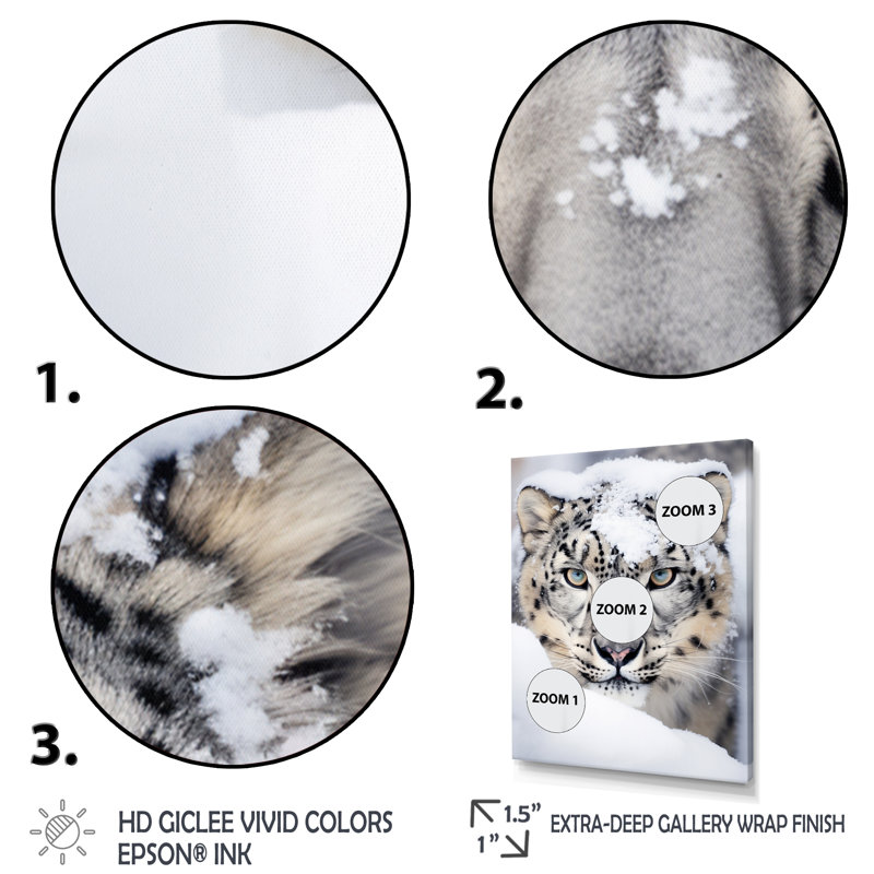 Tigre blanc en hiver I - impression, Encadrement doré, H 32 po x l 24 po x P 1 po