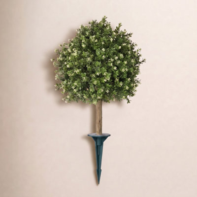 Ashwell Boxwood Topiary with Base