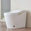 JuteJasper 5808556554FDAAC 1 GPF Round Comfort Height Chair Height Toilet