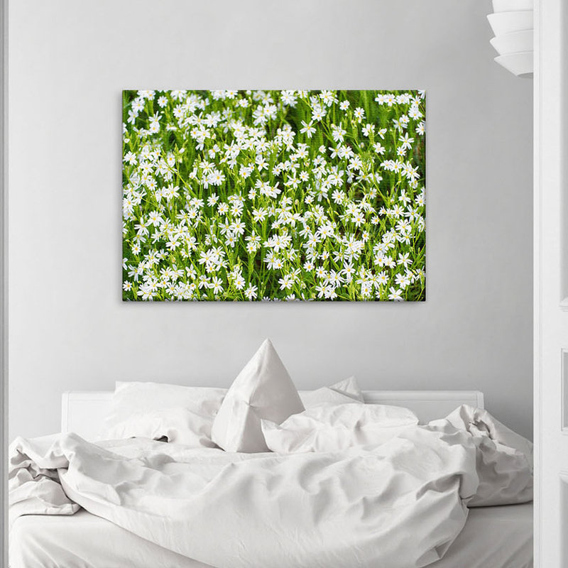 Print on Canvas, 100cm H x 150cm W x 2cm D