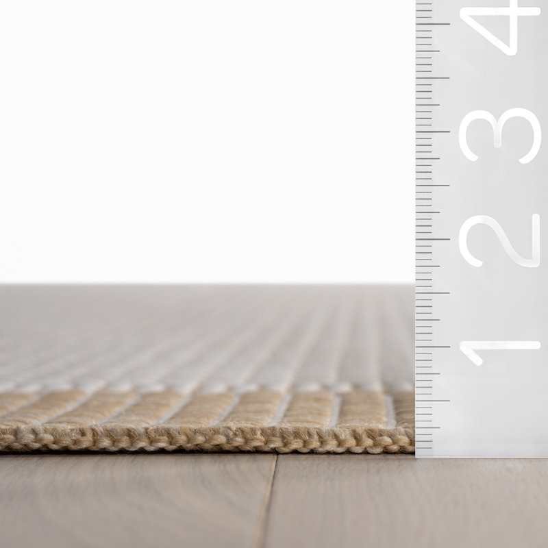  Velora Indoor/Outdoor Bordered Area Rug, Rectangle 4' x 6'