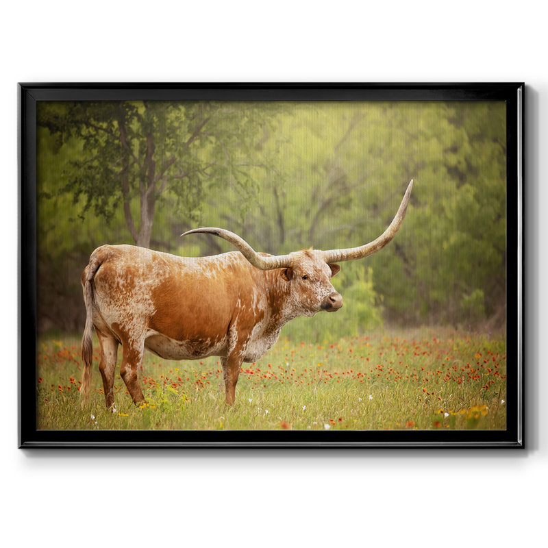 Sunlit Midwest I, reproduction d'art sur toile, H 18 po x l 26 po x P 1,5 po, Noir