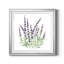 Lavande botanique I - peinture encadrée-528708047-528708032