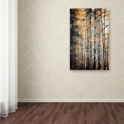 « tons », reproduction de photo sur toile tendue Halke
