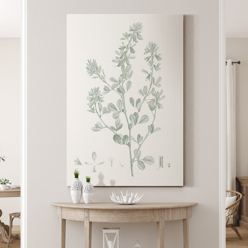«Botanical Study in Sage VIII», reproduction d'art sur toile tendue, H 20 po x l 16 po x P 1 po