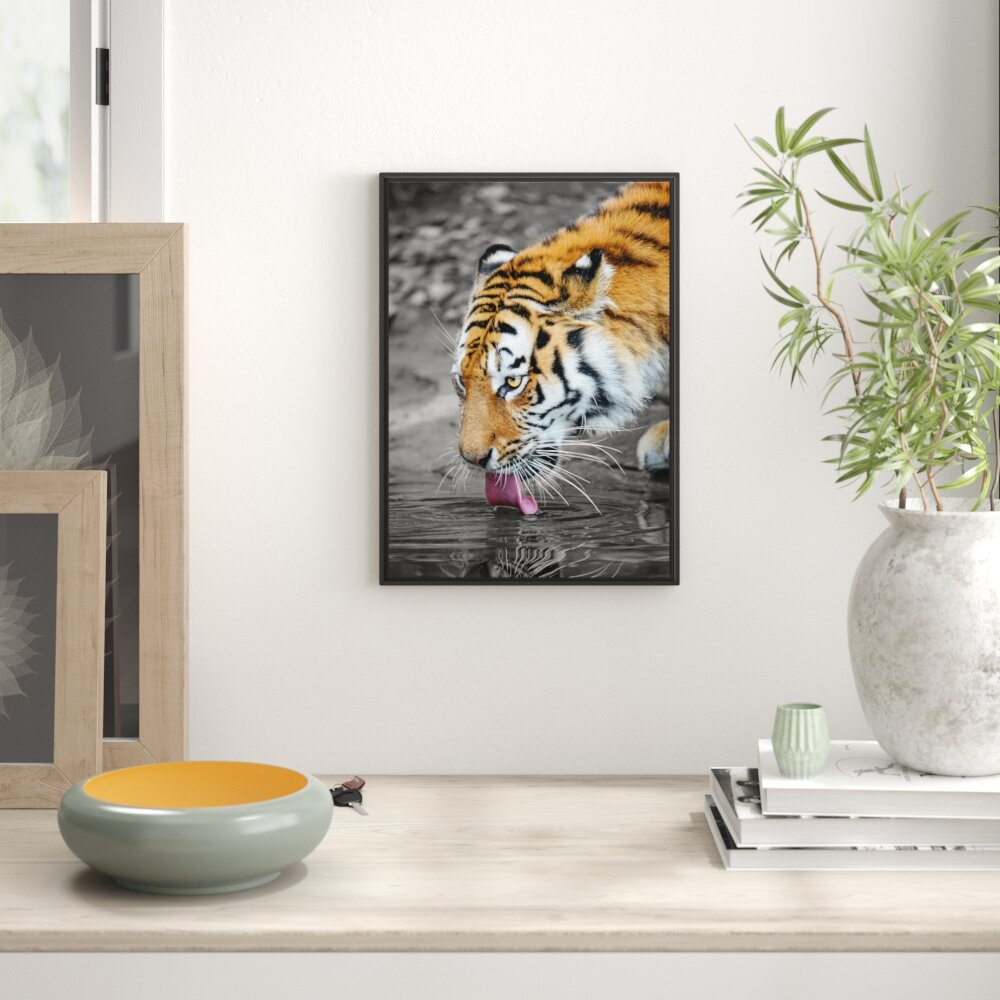 Gerahmtes Wandbild stolzer Tiger am Wasser