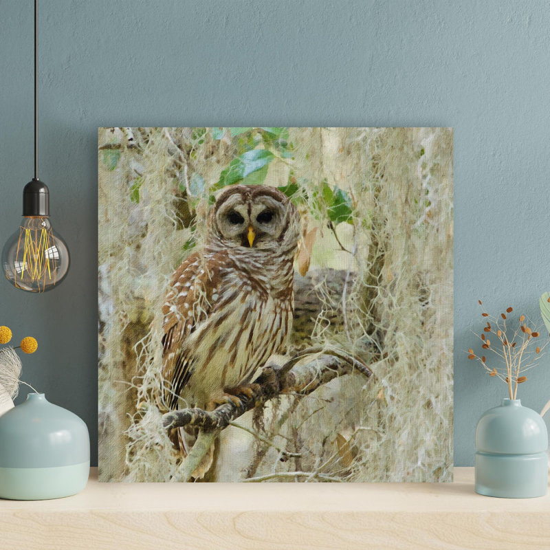 Photography Of Owl - 1 Piece Rectangle Graphic Art " Photography Of Owl " Painting Print