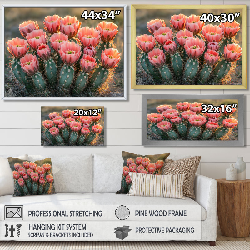 Cactus en pleine floraison à l'aube I - art mural cactus, Cadre simple, Noir, H 16 po x l 32 po