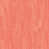 Corail blanchi au soleil est en rupture de stock