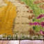Vogue Hand Knotted Wool Area Rug-61351519