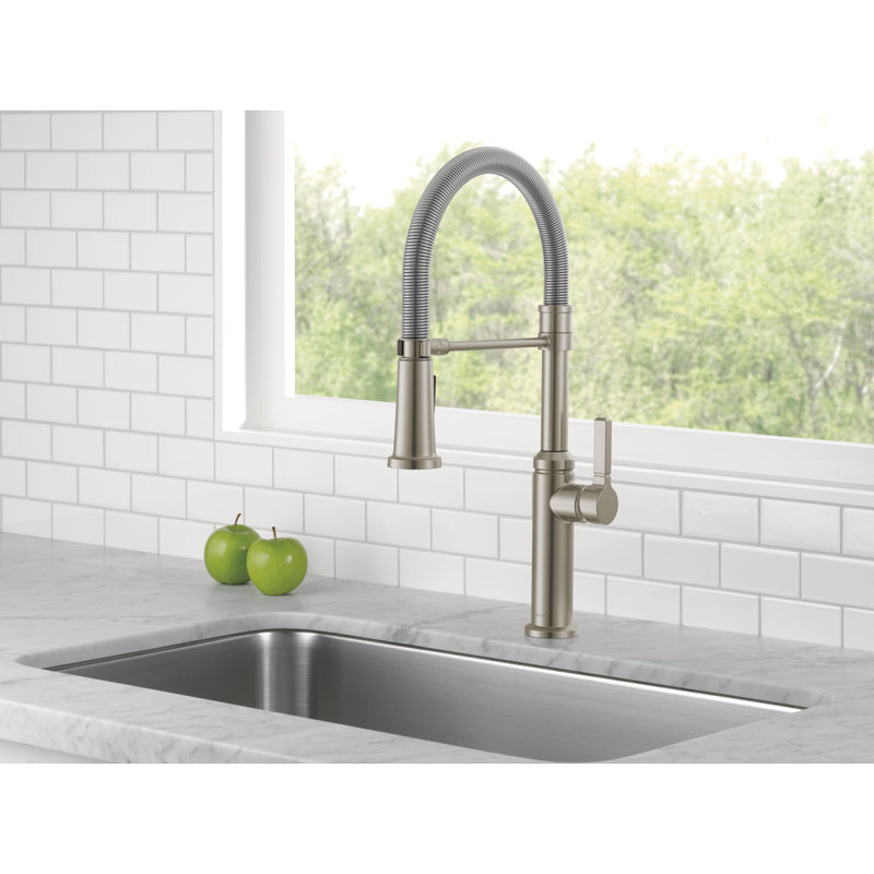 Robinet de cuisine Rhett Pro Style, Inoxydable