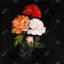 Trois belles fleurs roses - reproduction encadrée-66150494-66150488