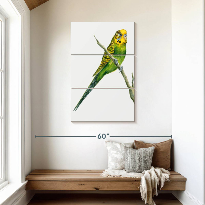 Brampt Perched Budgerigar, 45" H x 28" W