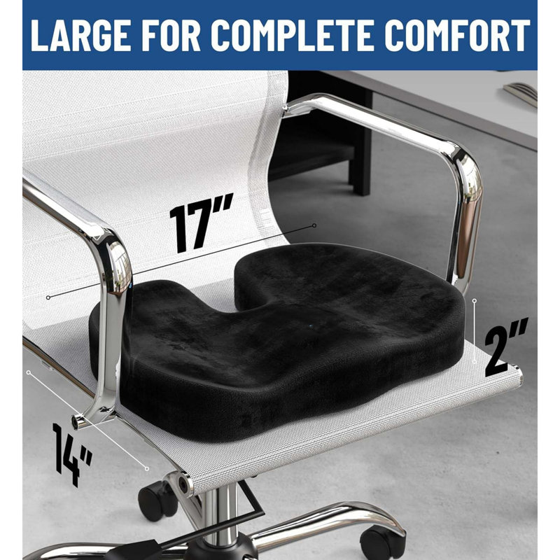 Ivy Bronx Seat Cushion