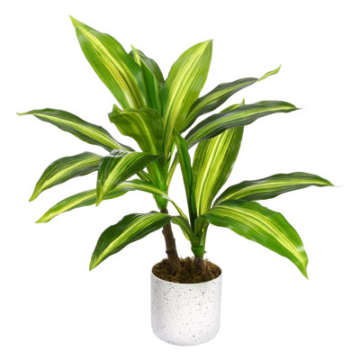 2pack Artificial Yellow Brazil Dracaena –Faux Tropical Plants, Indoor Decor| 2pack Artificial Twin-Stem Schefflera Plant Faux Tropical Plants