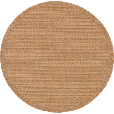 Striped Indoor / Outdoor Rug
