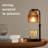 Candle Heating Lamp With Timed Dimmer