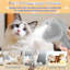 Brosse à vapeur pour chat pour chat-107245850