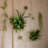 Handmade Modern Plants & Flowers Wall Decor on Resin-792278448