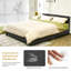 Lit plateforme tapissier Ashlay-971847474